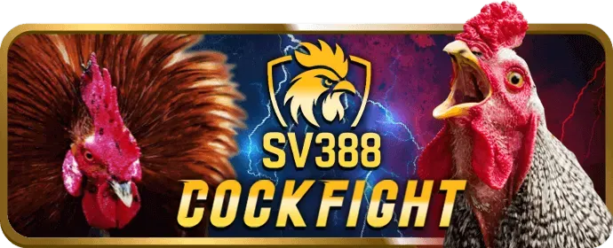 Cá cược các môn khác mocha7777